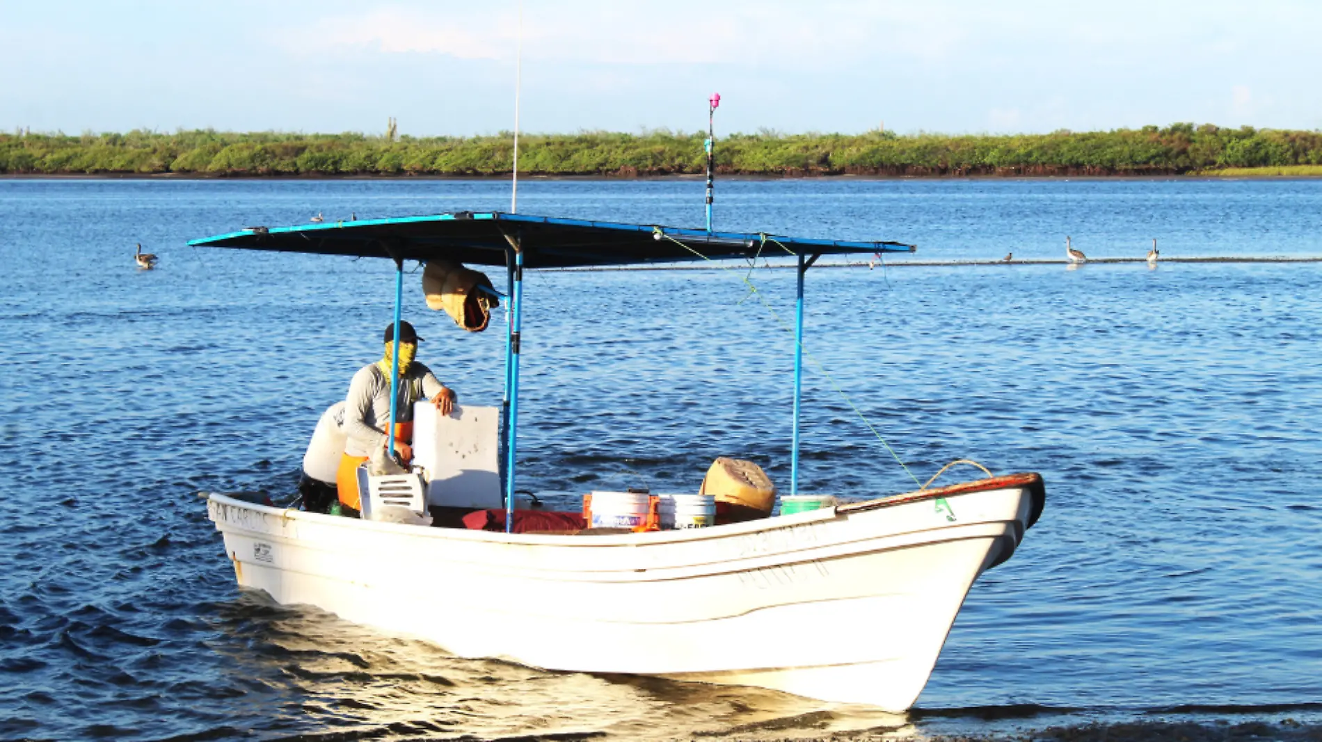 certificacion NOAA BCS